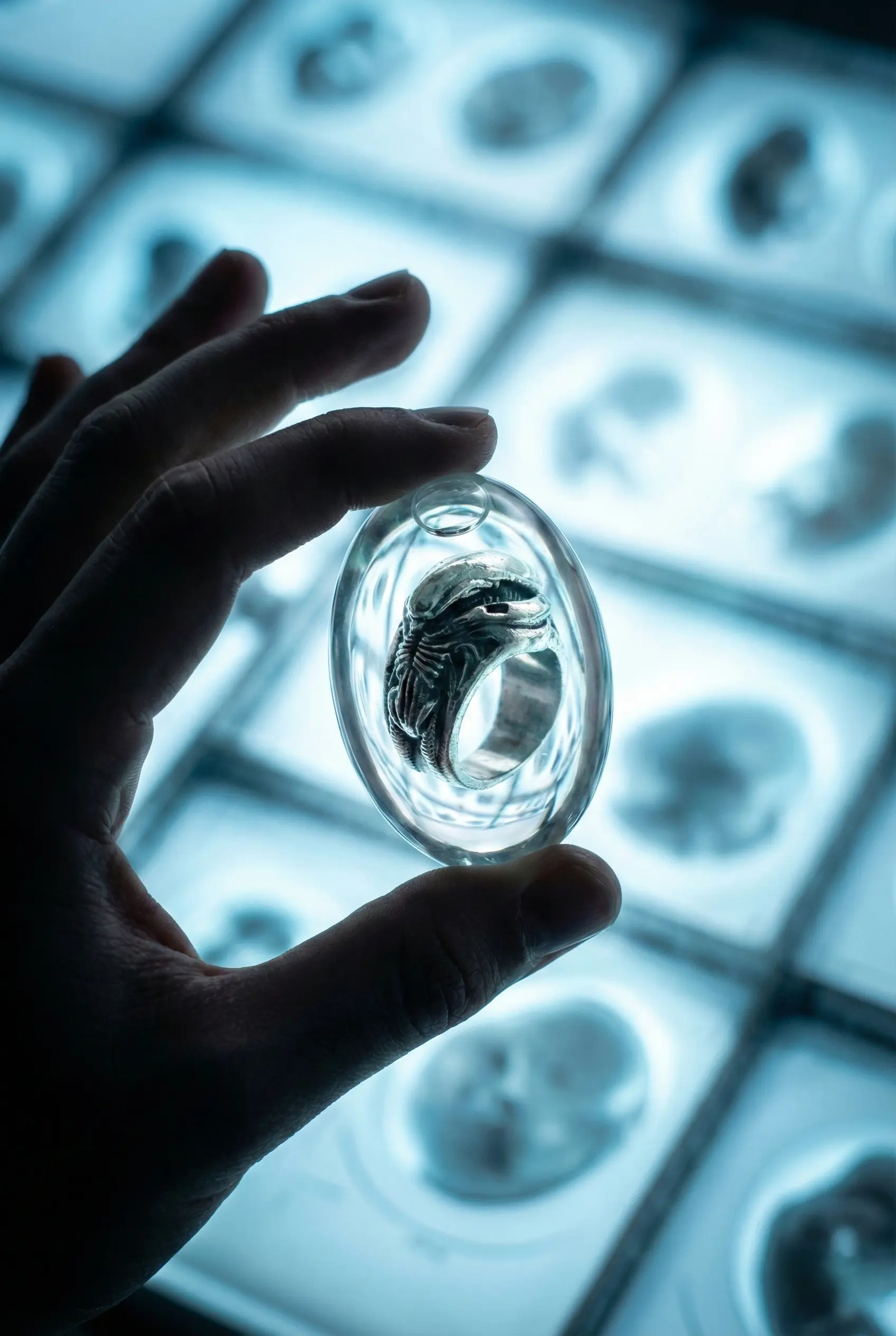 Anillo Xeno - Imagen 5