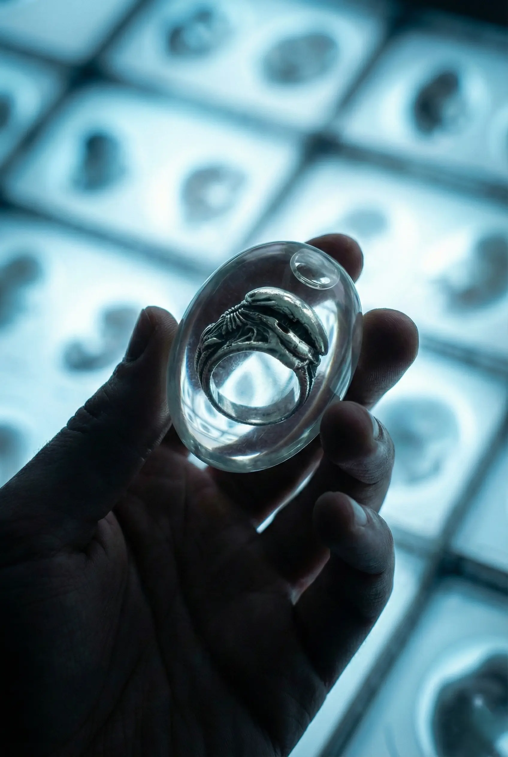 Anillo Xeno - Imagen 7