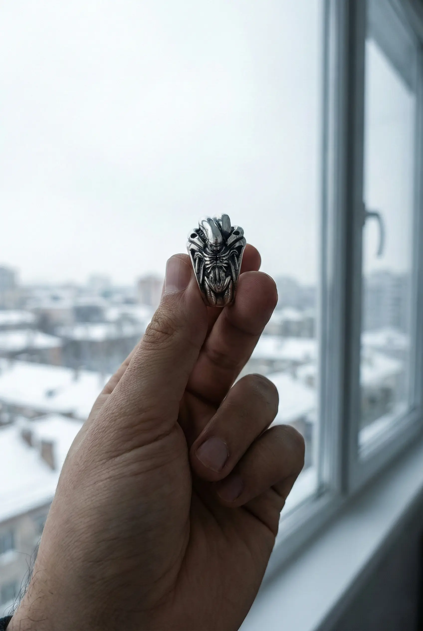 Anillo Xeno - Imagen 2